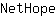 N***e