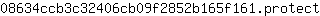 0***t