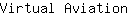 V***n