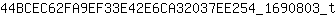 4***t