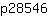 p***6