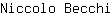N***i