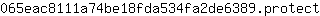 0***t