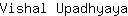 V***a