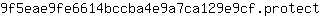 9***t