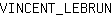 V***N