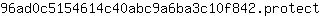 9***t