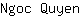 N***n