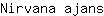 N***s