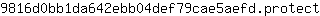 9***t