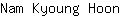 N***n