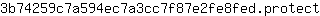 3***t