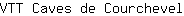 V***l
