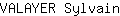 V***n