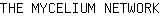 T***K