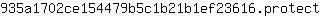 9***t