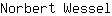 N***l