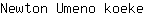 N***e