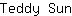 T***n