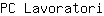 P***i