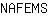 N***S