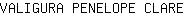 V***E