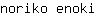 n***i