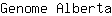 G***a