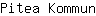 P***n