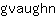 g***n