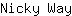 N***y