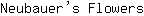 N***s