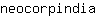 n***a
