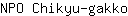 N***o