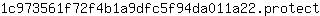 1***t