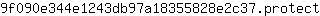 9***t