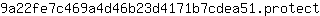 9***t