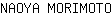 N***O