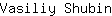 V***n