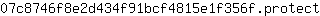 0***t