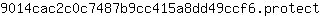 9***t