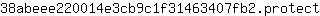 3***t