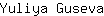 Y***a