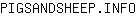 P***O