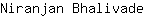 N***e