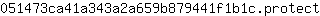 0***t