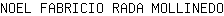 N***O