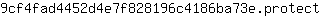 9***t