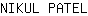 N***L