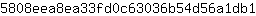 5***1